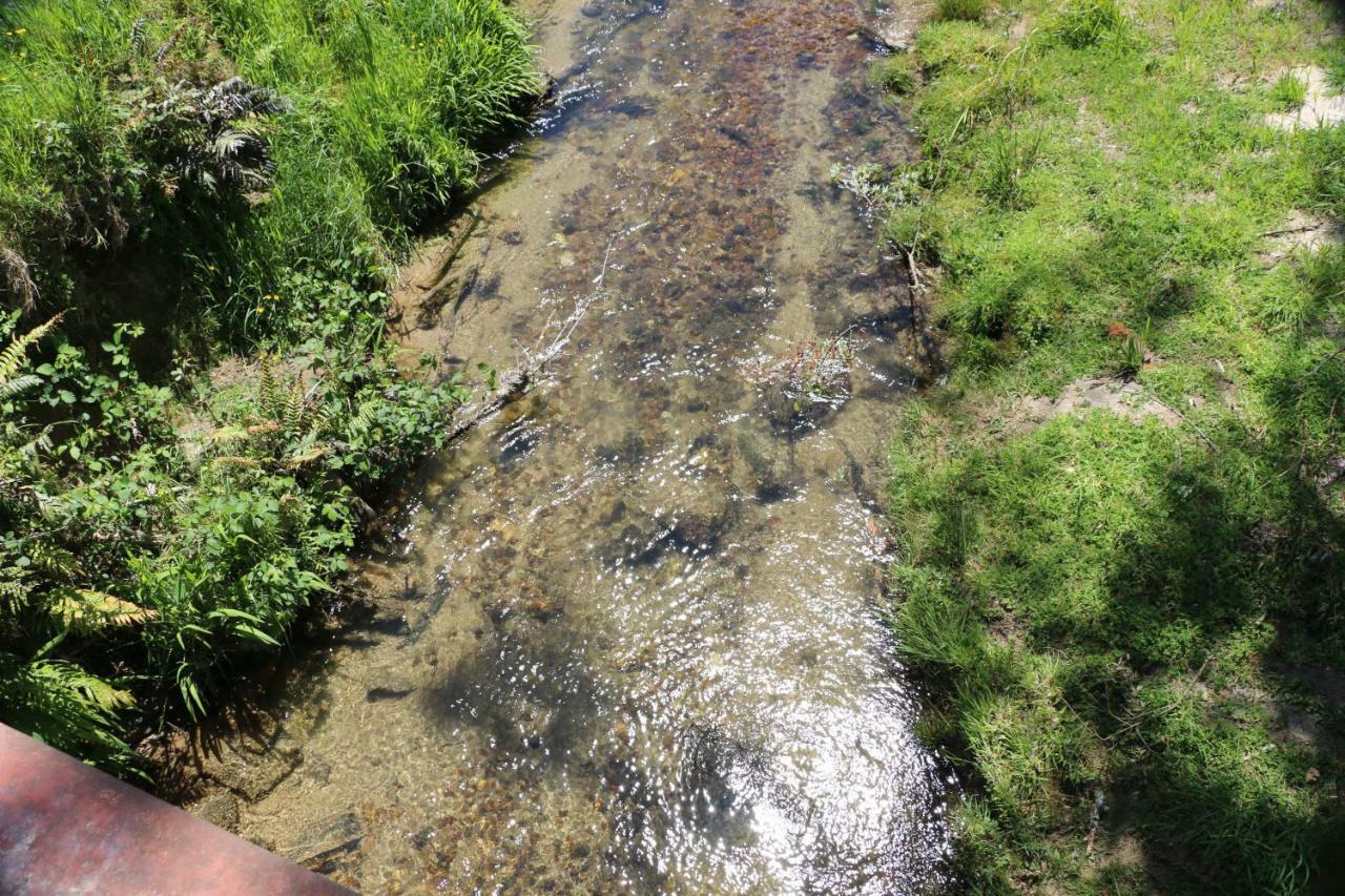 Unwind In Paradise Valley Trout At Your Door Holiday home *